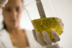 10 απαντήσεις για τα Οργανικά και Βιολογικά Καλλυντικά απο την Elmelia.bio