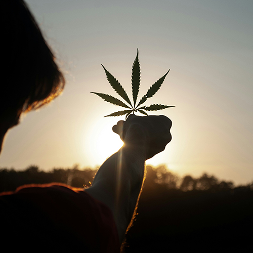 ΛΑΔΙ ΚΑΝΝΑΒΗΣ _ELMELIABIO BLOG